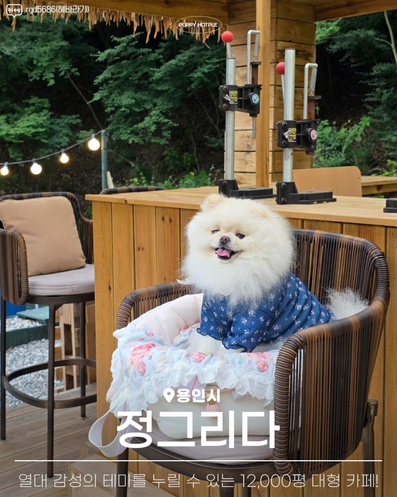 사진 2
