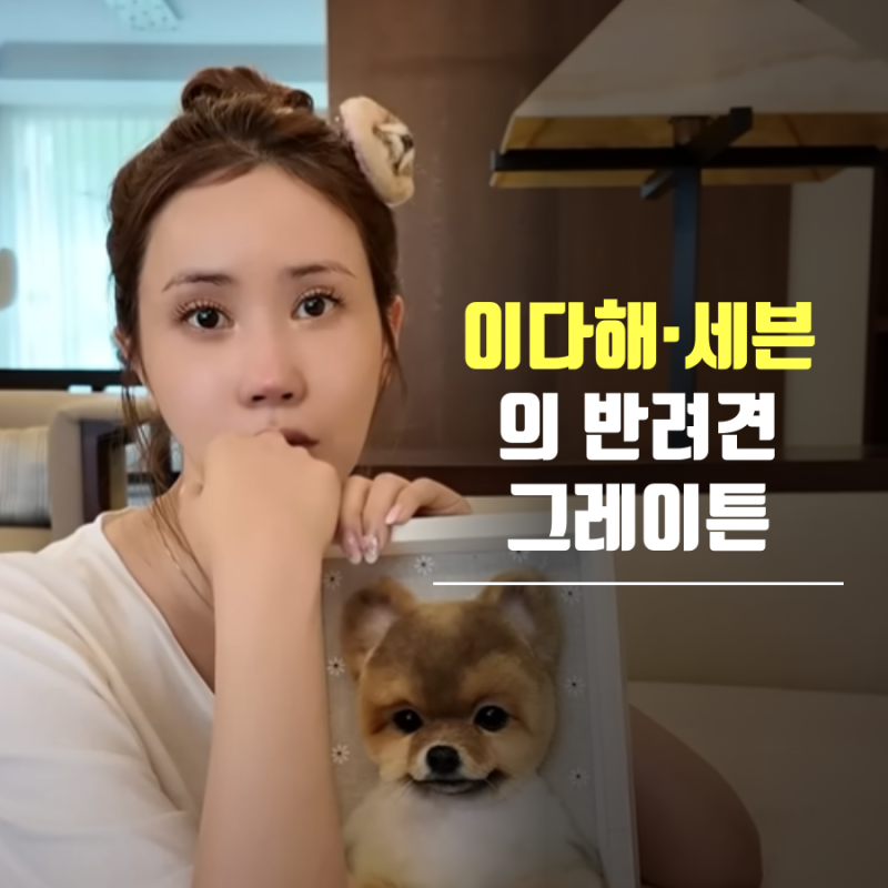 "사랑은 이별 후에도 계속된다" 이다해·세븐 부부의 반려견 그레이튼과의 마지막 인사