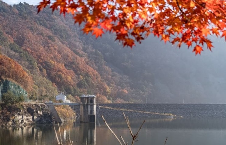 <b>도암댐</b>, 최신 수질검사 비상<b>방류</b> 논의 <b>강릉 가뭄</b> 해법 될까?
