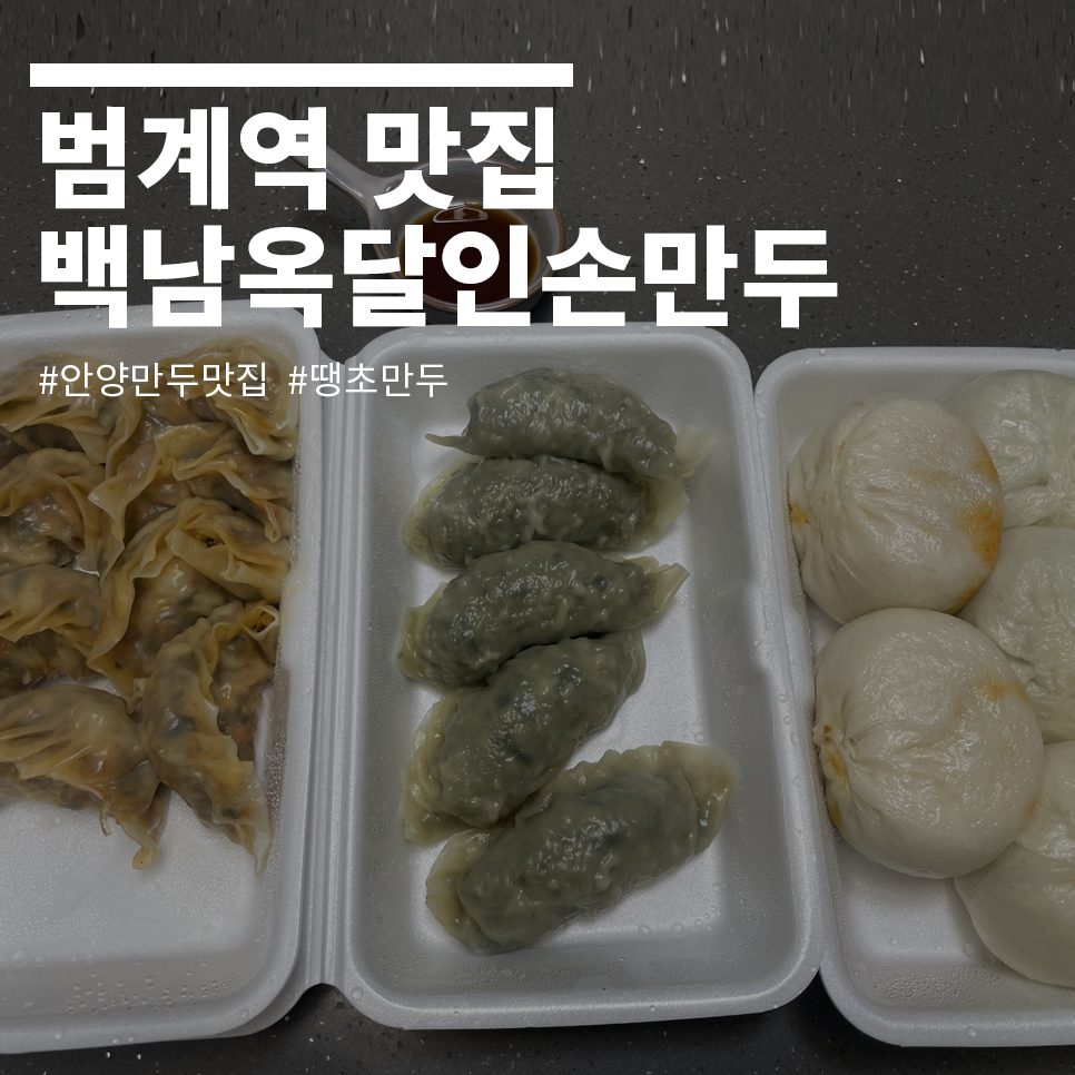 백남옥달인손만두 사진 1