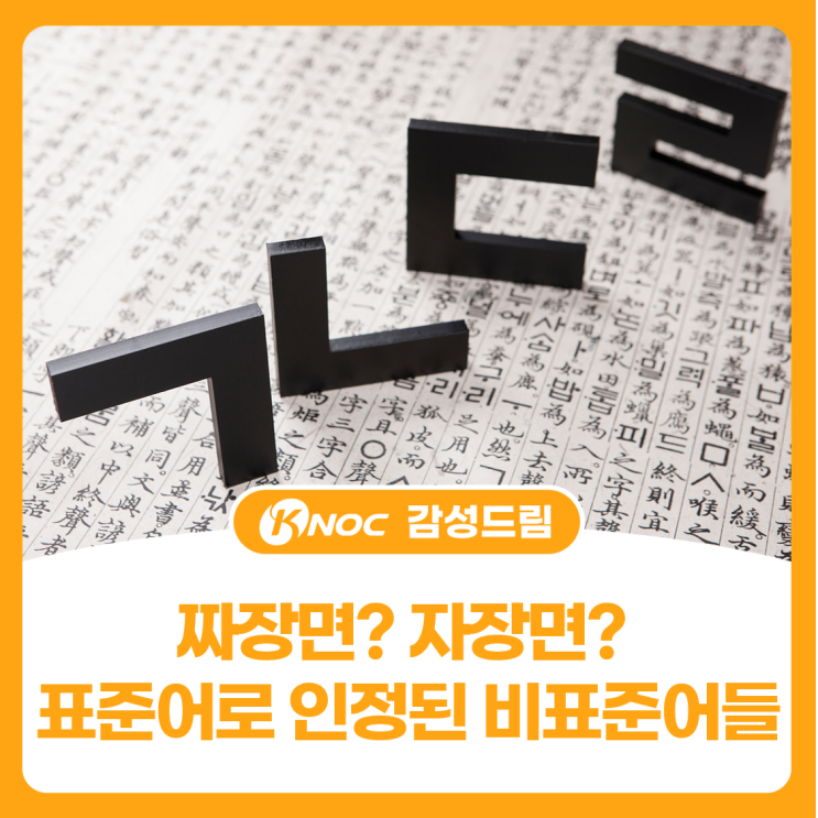  짜장면? 자장면? 표준어로 인정된 비표준어들