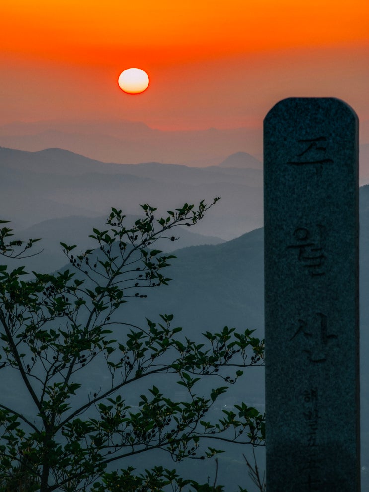  일출과 일몰, 운해를 모두 볼 수 있는 전라남도 보성 주월산 패러글라이딩 활공장(하이퍼랩스)