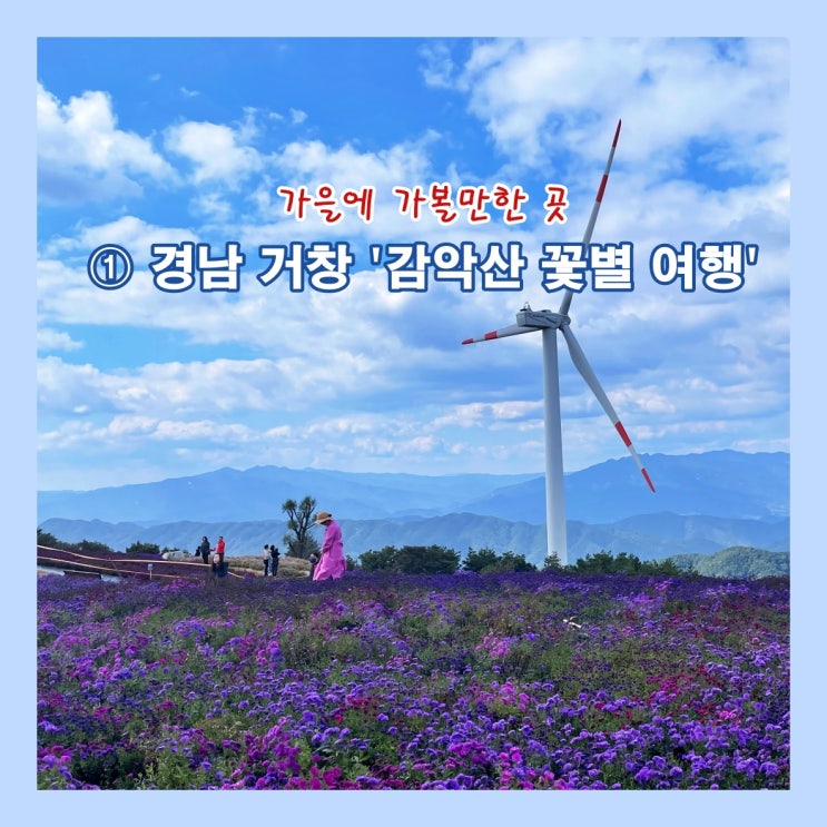  가을에 가볼만한 곳  ① 경남 거창 '감악산 꽃별 여행'