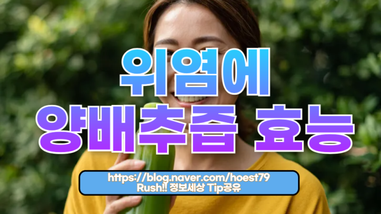  위염에 양배추즙 효능 – 위 건강을 지키는 자연 치유의 힘