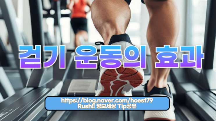  걷기 운동의 효과: 일상 속 작은 습관이 바꾸는 건강 혁명
