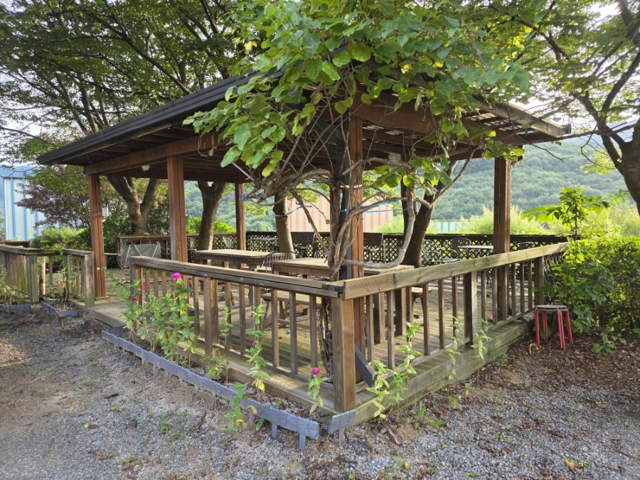Hyangsurim photo 1