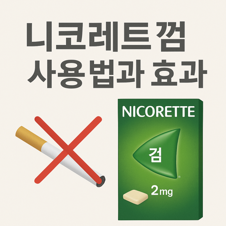  니코레트껌 금연보조제 효과와 사용법 약사가 알려드립니다