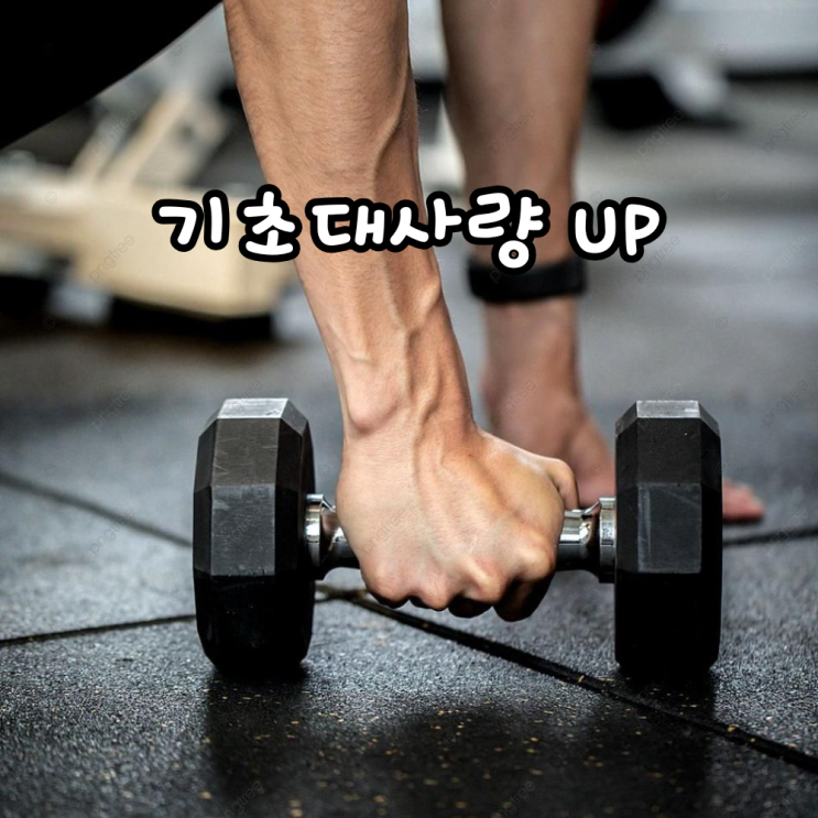 마음껏 먹어도 살 안 찌는 몸, 기초대사량 올리는 생활법