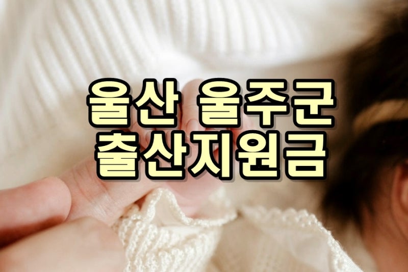 울산 울주군 출산지원금 총정리 & 첫 만남 이용권부터 출산축하용품·출산장려금까지 출산 ....