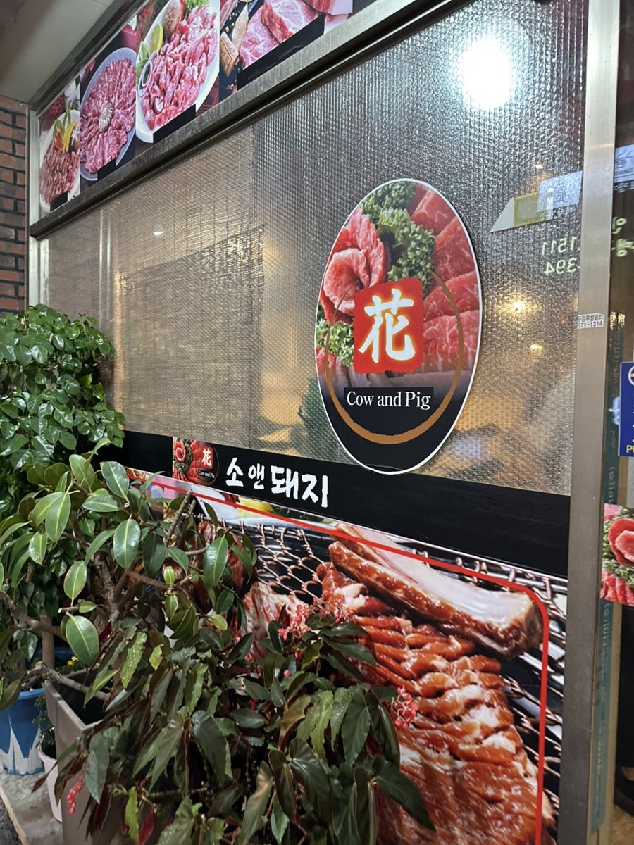 소앤돼지 사진 3