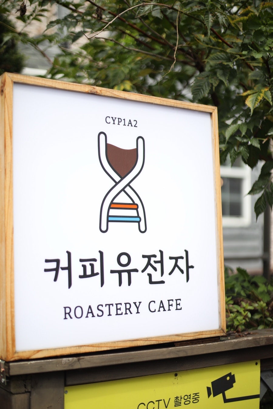cafe CYP1A2 커피유전자 사진 4