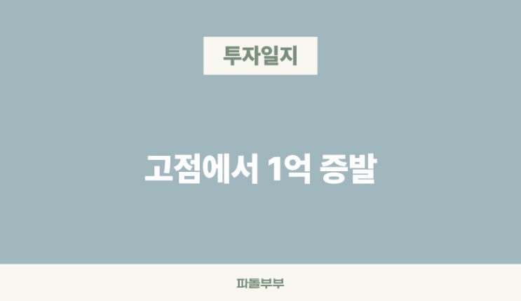  내 주식 계좌 고점에서 -1억