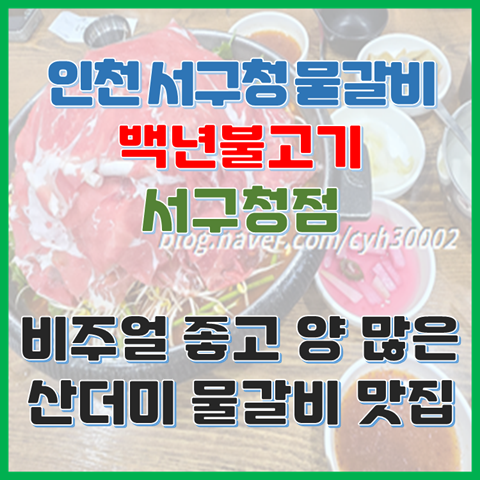  백년불고기 서구청점 비주얼 좋고 양 많은 산더미 물갈비 맛집
