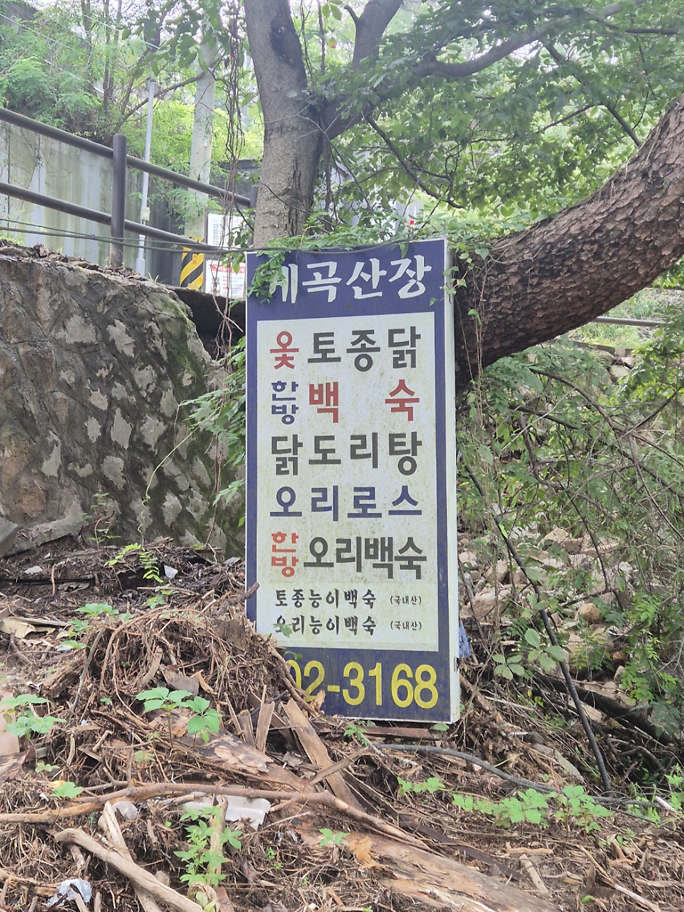 계곡산장 사진 5