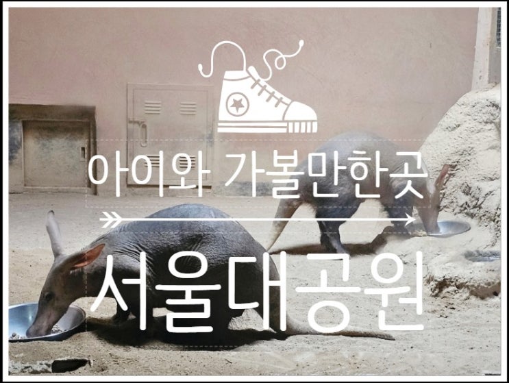  가을나들이 가기 좋은 아이와 가볼만한곳 서울대공원~ 스카이리프트로 제대로 즐겼어요