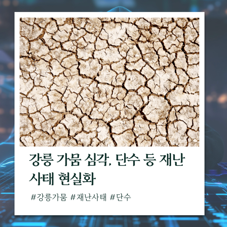 [일상뉴스] <b>강릉 가뭄 장기화</b>로 재난사태 돌입, 단수 사태로... 