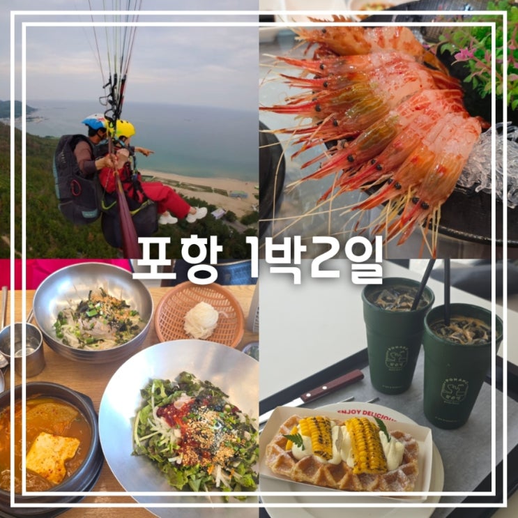  친구랑 떠난 1박 2일 포항 여행 || 곤륜산 패러글라이딩 미남포차 환여횟집 헤이안 시민제과