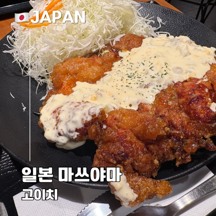 마쓰야마 치킨난반 맛집 고이치 본점 가성비 최고 정식 혼밥