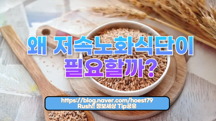  저속노화식단: 건강한 수명을 위한 식단 전략