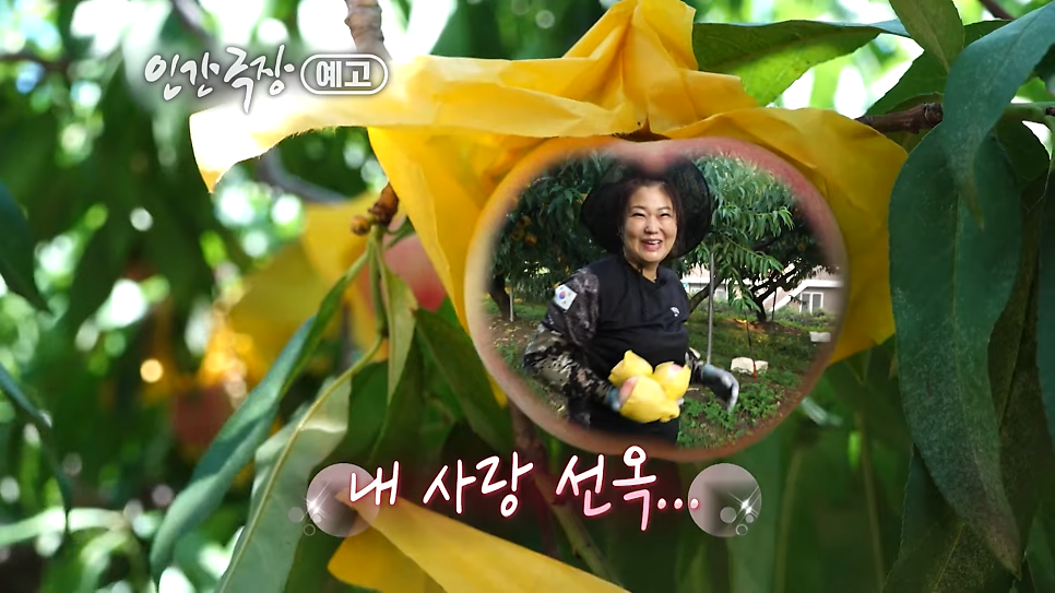 개성시대미용실 사진 2