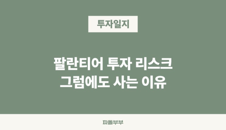  미국주식 팔란티어 PLTR 투자 리스크 전망 총정리