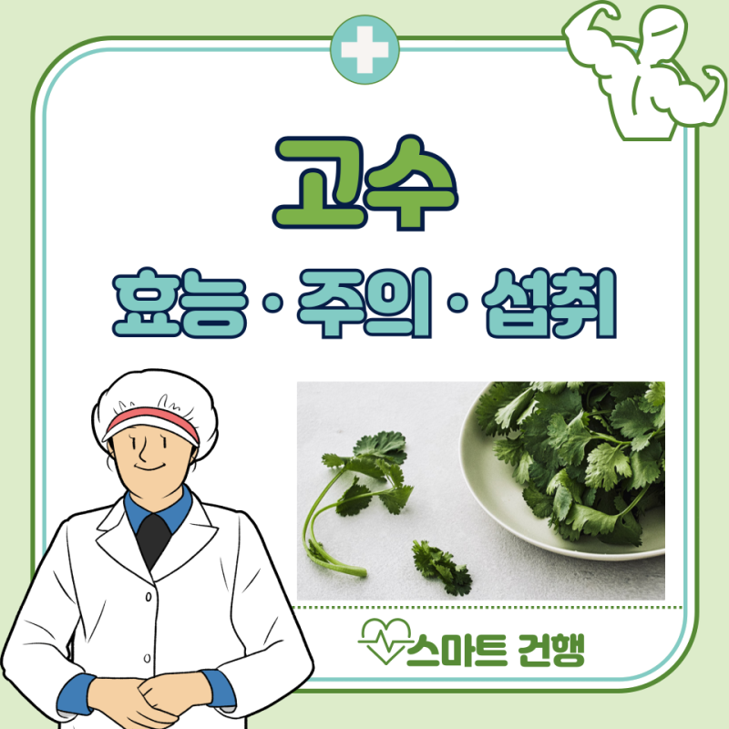 고수 효능 7가지, 부작용 : 고수나물 효능