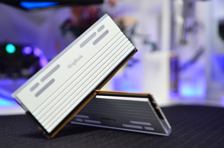 킹뱅크 맞아? 디자인과 성능이 예사롭지 않은 고클럭 킹뱅크 메모리 DDR5 8000 C36 32GB(16*2)
