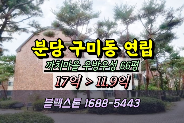  분당구 대형연립 경매 구미동 까치마을 우방 우성 빌라 66평
