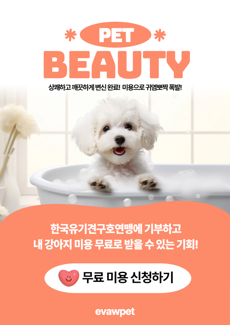  광주북구애견미용 유기견 돕고 무료 미용 받을 수 있는 방법!