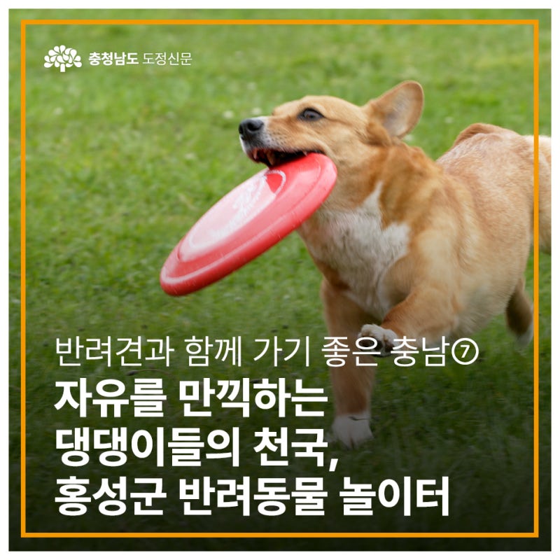 사진 3
