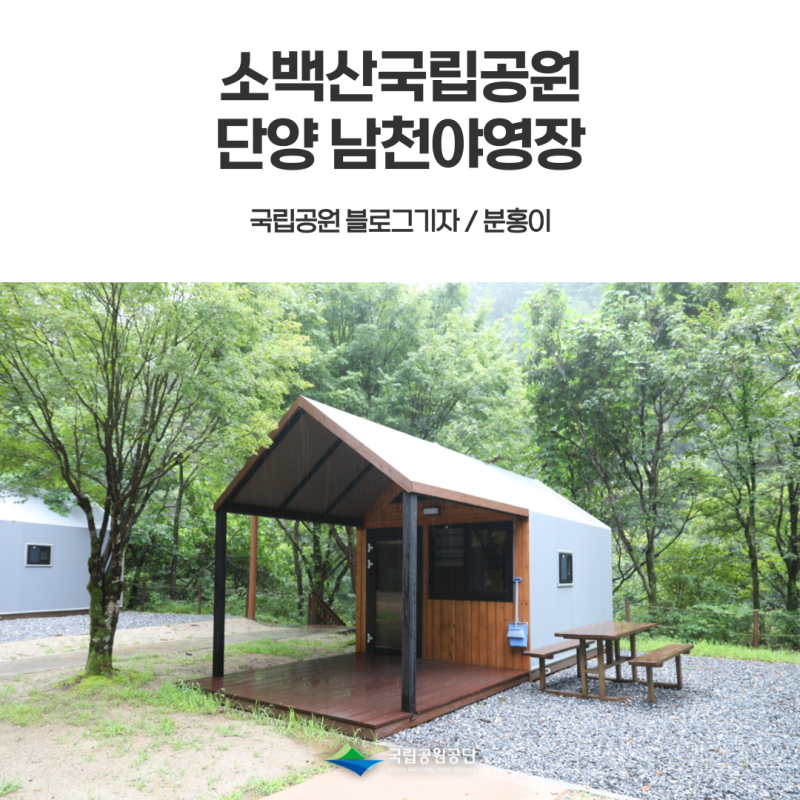 [소백산국립공원] 단양 남천야영장 특화야영장 하우스(솔막) 후기