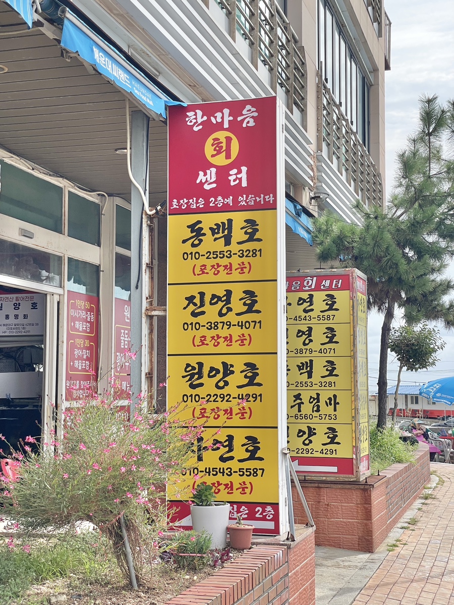 동백호 사진 3