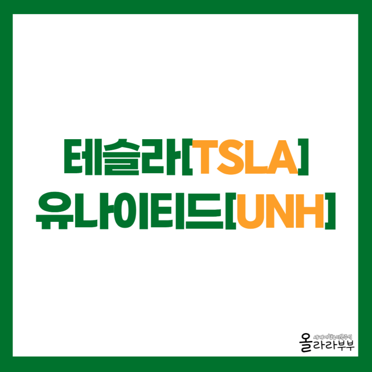  테슬라, 옵티머스 소식과 유나이티드헬스 주가 상승 이유