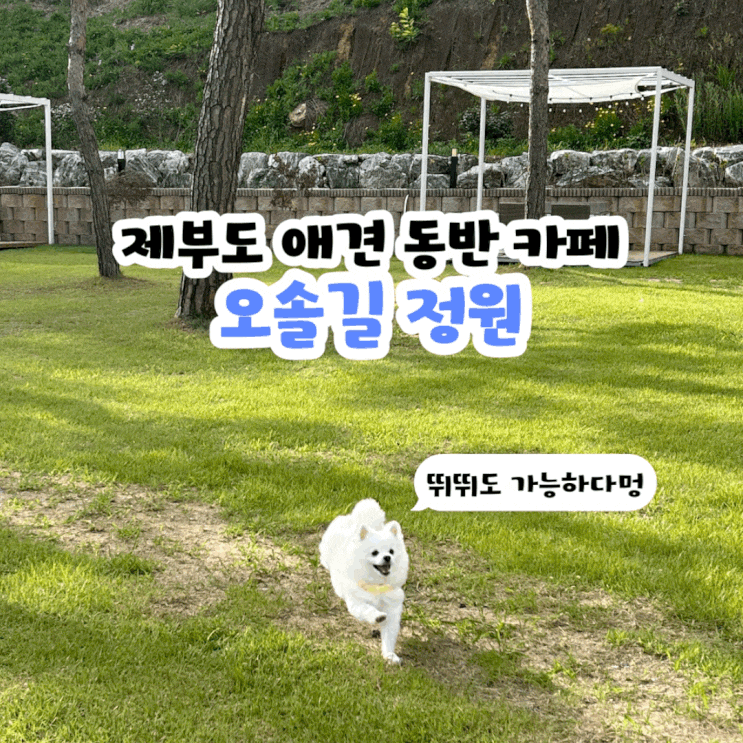  서울에서 드라이브하기 좋은 제부도 애견 동반 카페 오솔길 정원