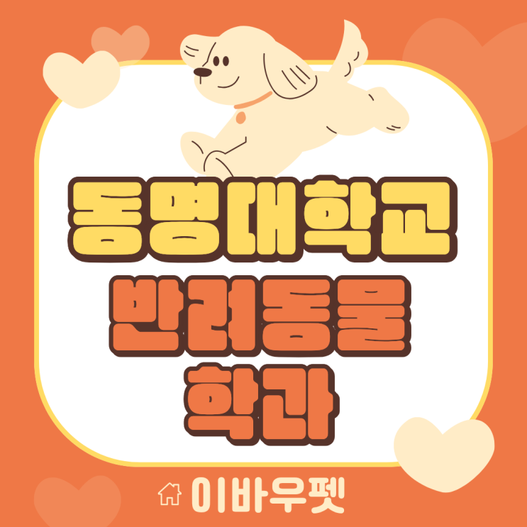  동명대학교 반려동물학과 준비 과정, 이렇게 접근하세요