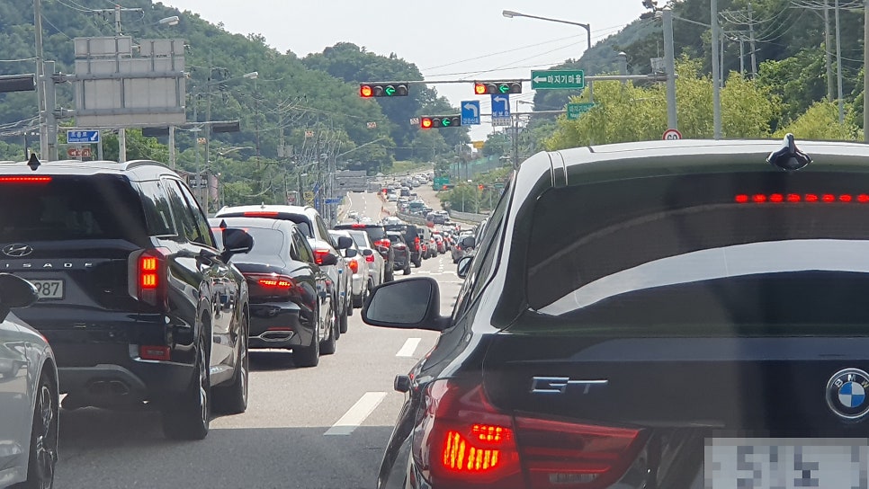 럼프 사진 2