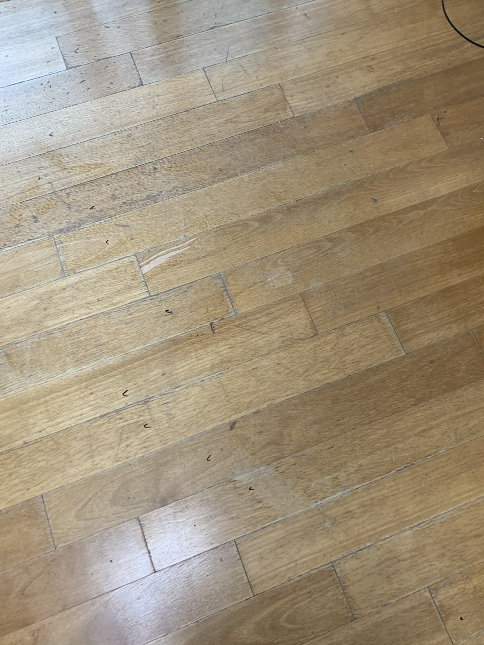 강화마루 변색 찍힘 부분 교체 보수 비용 및 셀프 (신촌)