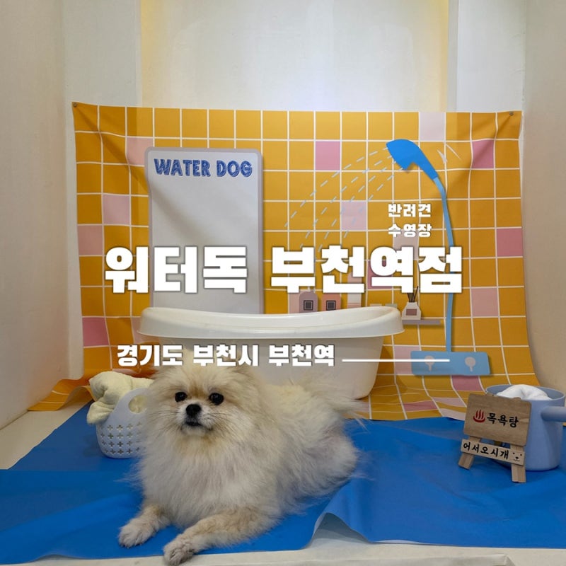 사진 4