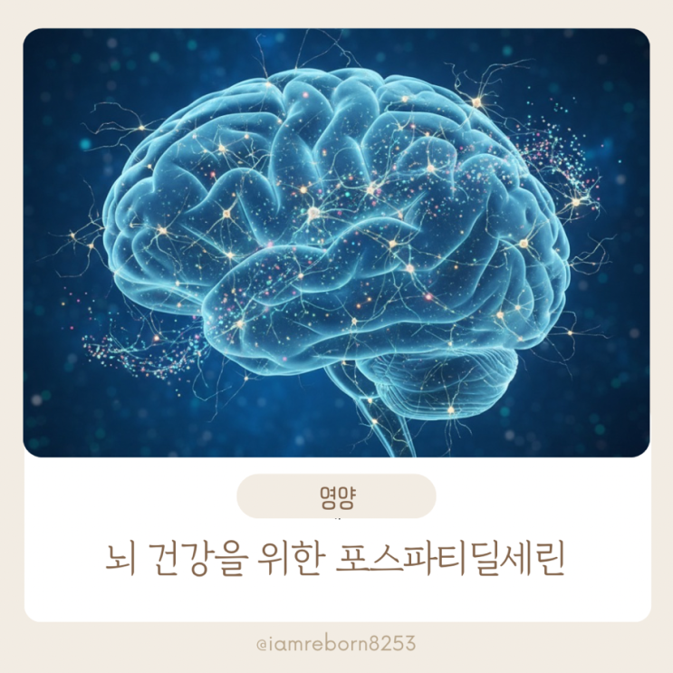  포스파티딜세린 뇌 건강을 위한 숨은 조력자