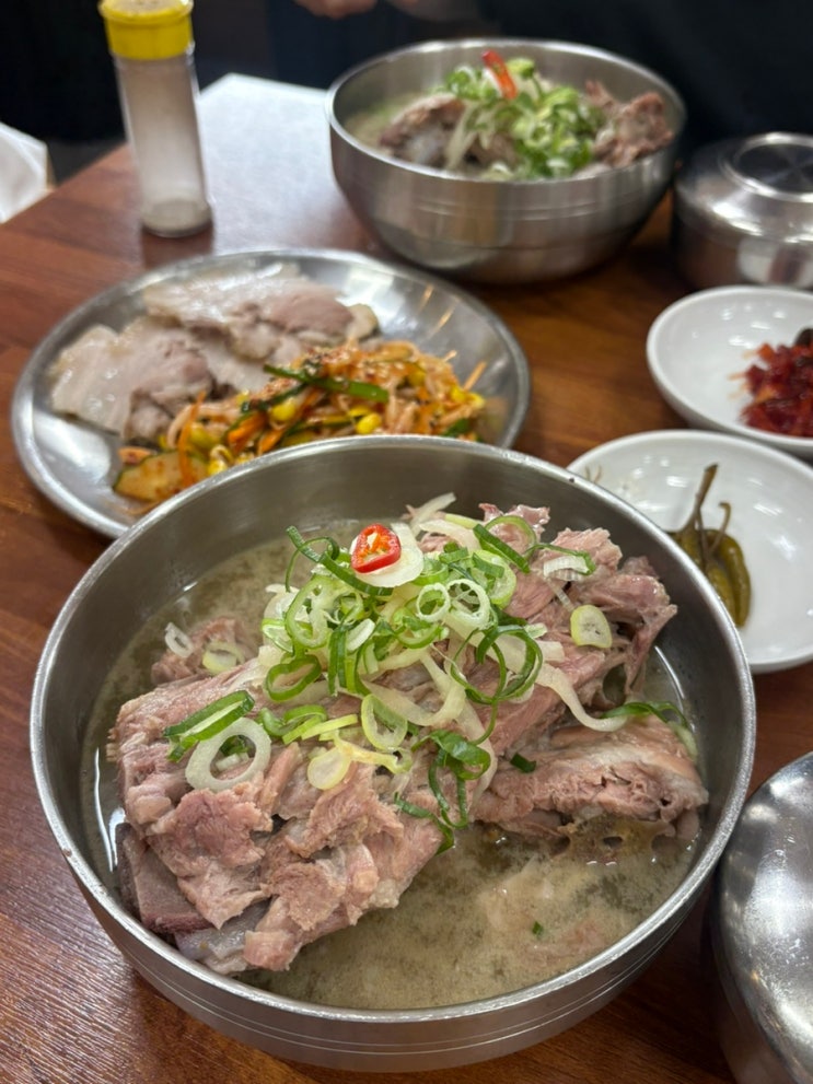  지금은 제주 여행중 
