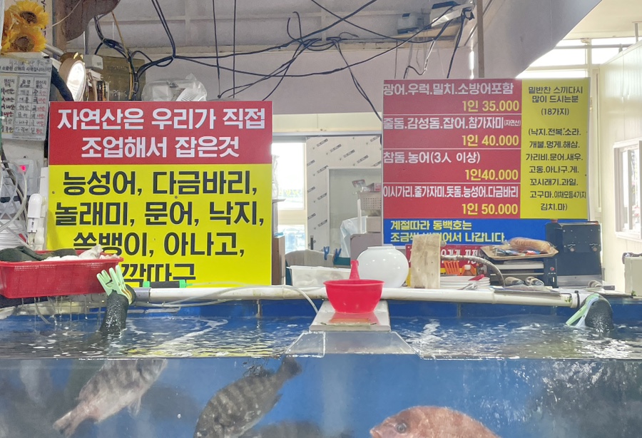 동백호 사진 6