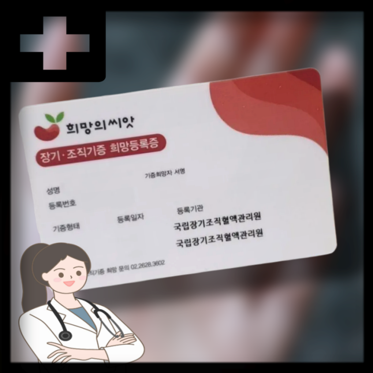  장기기증 신청 방법 조건 : 간, 골수, 조혈모세포 기증