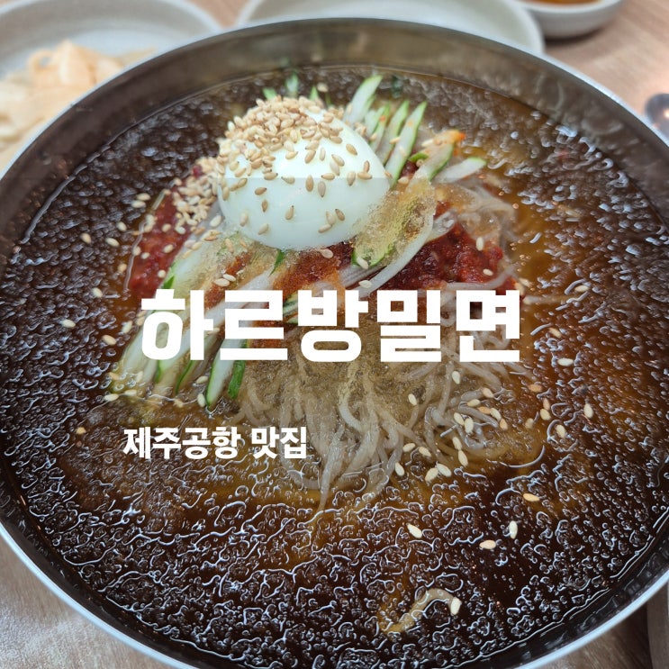  제주공항 근처 맛집, 하르방밀면에서 인생 보말칼국수와 비빔막국수 맛보다!