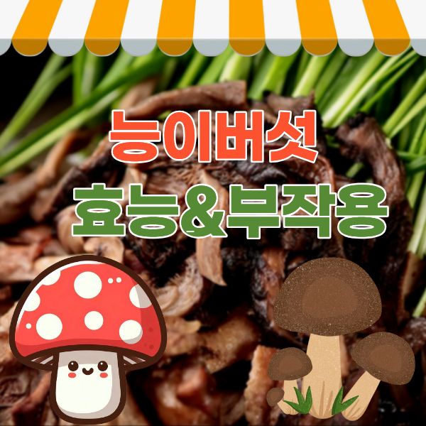  능이버섯 효능 부작용 6가지 영양성분까지 완벽 총정리
