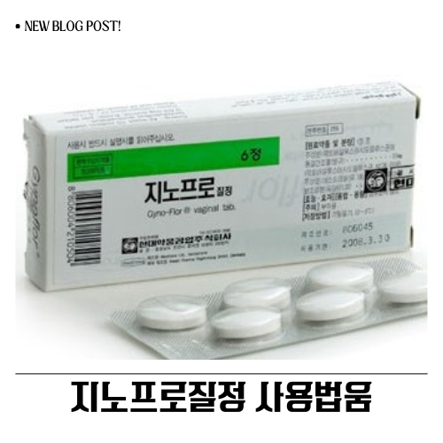 지노프로질정 사용법, A to Z (넣는법, 보관법, 주의사항 총정리)