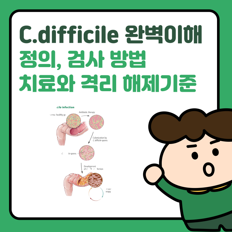  C.Difficile 감염 정의와 양성 위험성, 검사, 치료 방법