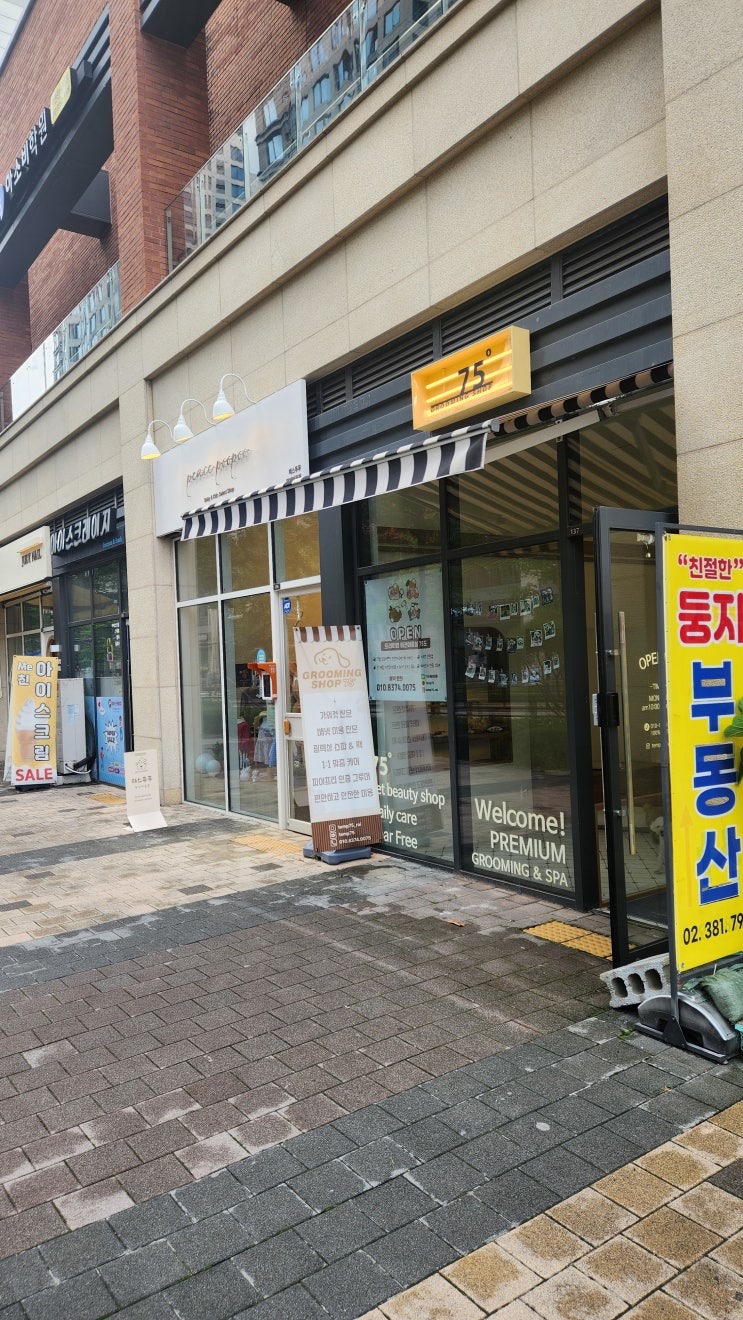  삼송 애견미용 75도 추천 후기