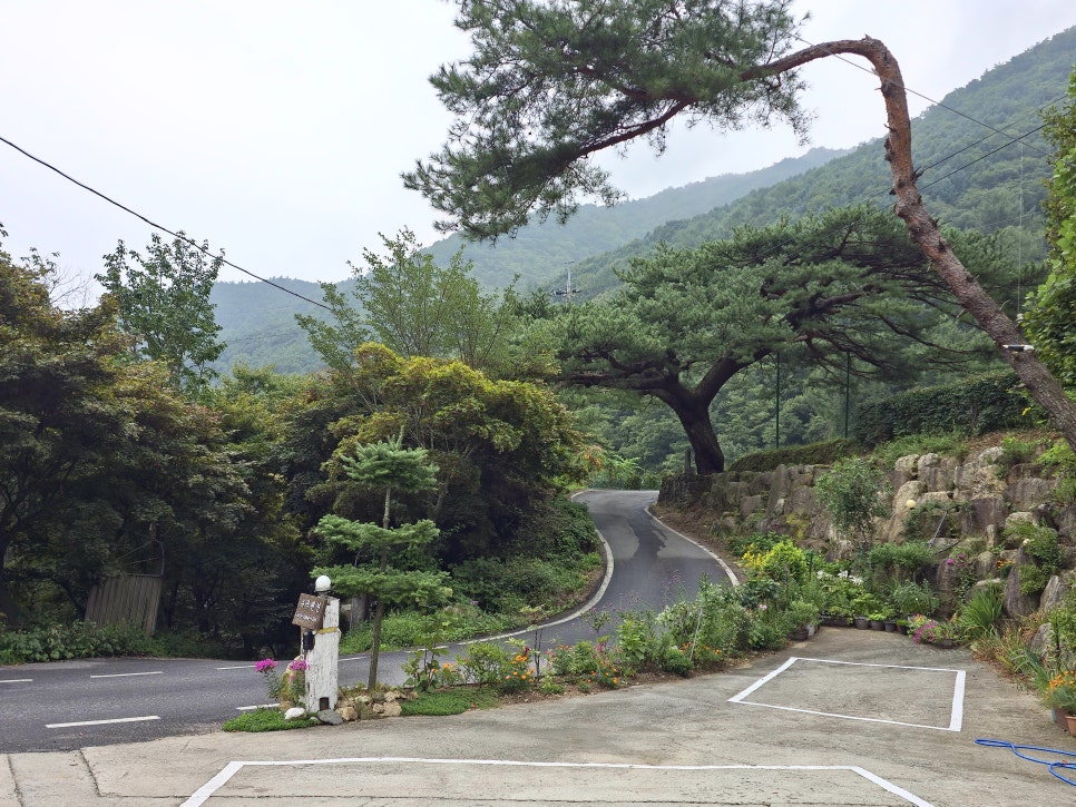 소백산 유곡펜션 사진 1