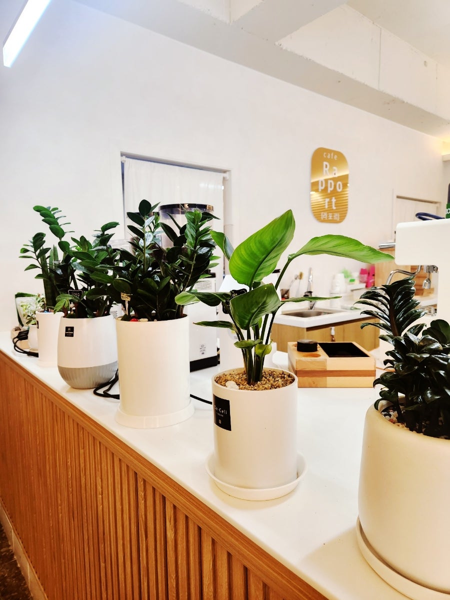 카페라포르(cafe rapport) 사진 6