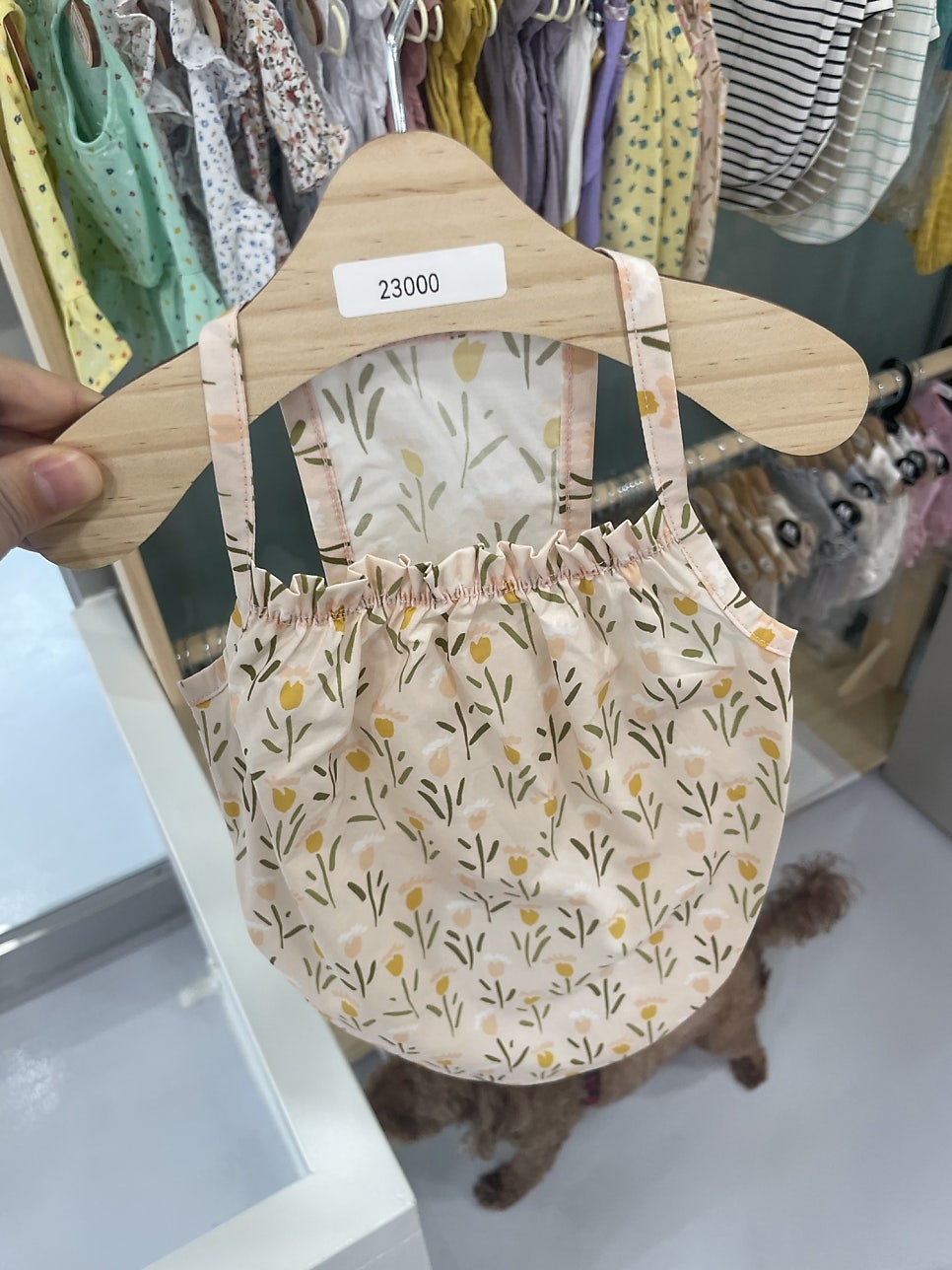 아라댕댕 사진 4